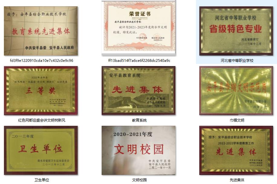 安平縣綜合職業(yè)技術學校主要榮譽